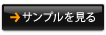 サンプルをみる(各問題ごと)